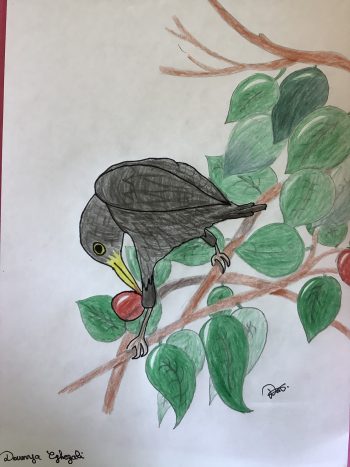 Dessin de Dounya