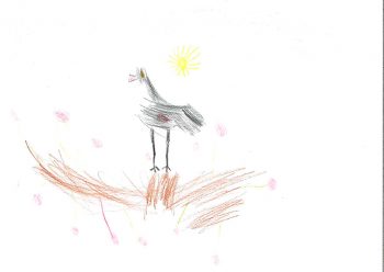 Dessin de Nell