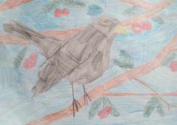 Dessin de Amance
