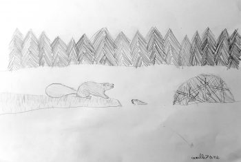 Dessin de Camille