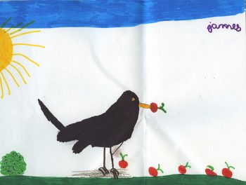 Dessin de James