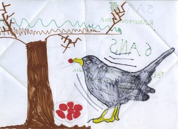 Dessin de Samy
