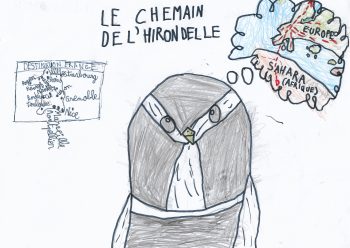 Dessin de Matis