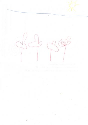 Dessin de Marin