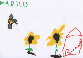 Dessin de Marius