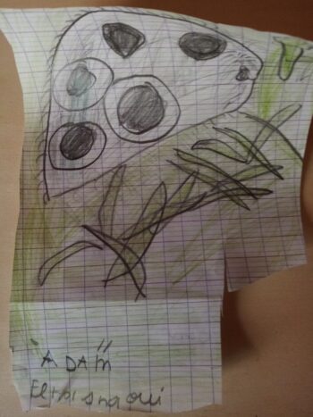 Dessin de Adam 