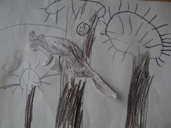 Dessin de Lou