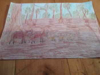 Dessin de Medhi