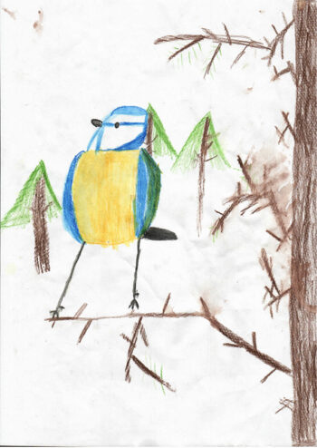 Dessin de Névé