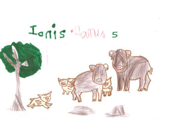 Dessin de Ianis