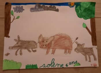 Dessin de Solène