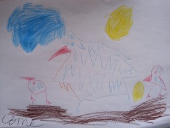 Dessin de Côme