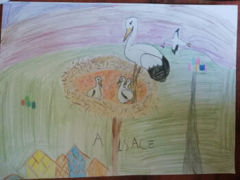 Dessin de Camille