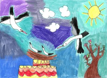 Dessin de Sophia