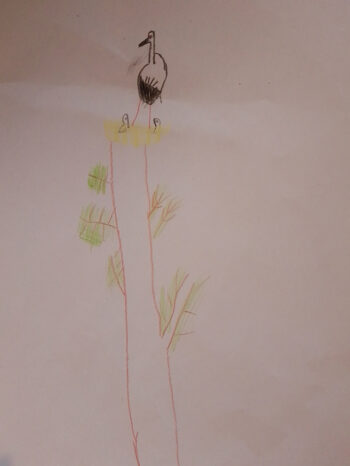 Dessin de Quentin
