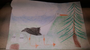 Dessin de Ellyn