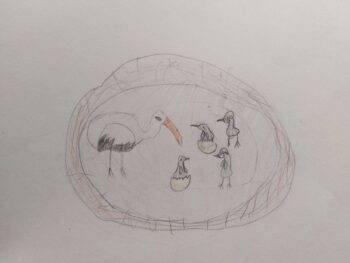 Dessin de Alice