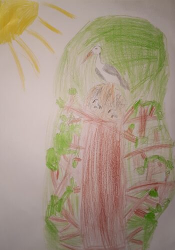 Dessin de Romain