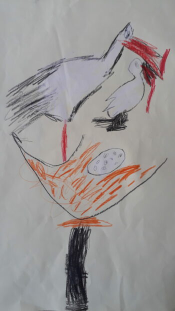 Dessin de Léo