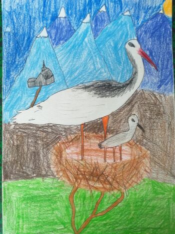 Dessin de Pacôme 