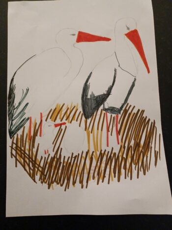 Dessin de Claire 