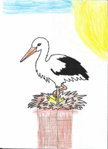 Dessin de Diego