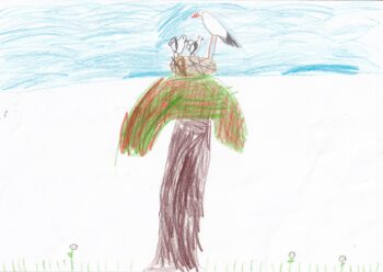 Dessin de Nael