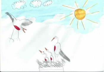 Dessin de Constance