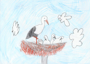 Dessin de Jade