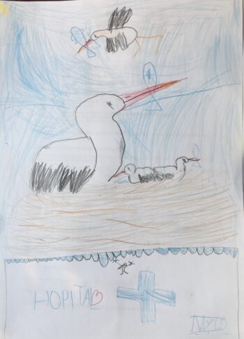 Dessin de Mylo