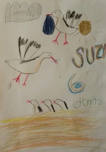 Dessin de Suzy