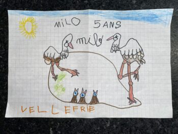 Dessin de Milo