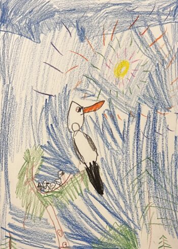 Dessin de Felix
