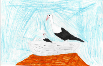Dessin de Lise