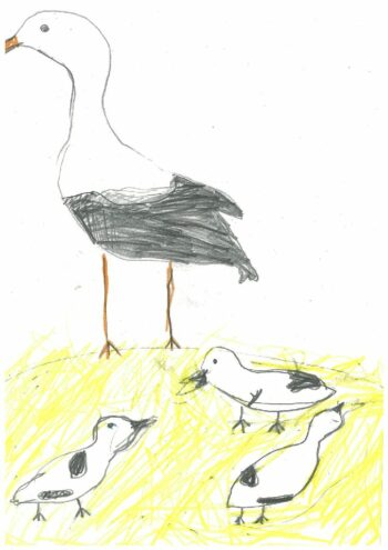 Dessin de Ariane
