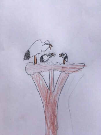 Dessin de cali