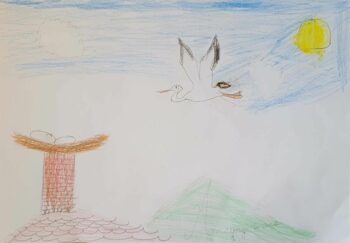 Dessin de Amaury