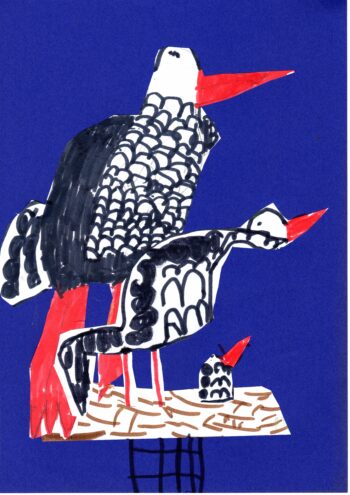 Dessin de Rosa