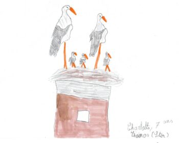 Dessin de Charlotte