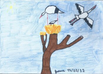 Dessin de Gustave