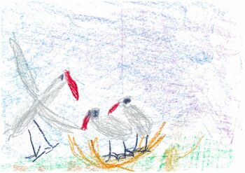 Dessin de Nourdine