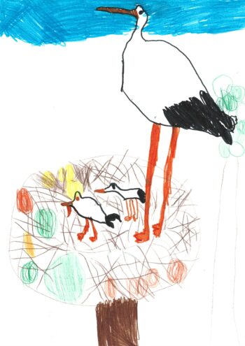 Dessin de Gaston