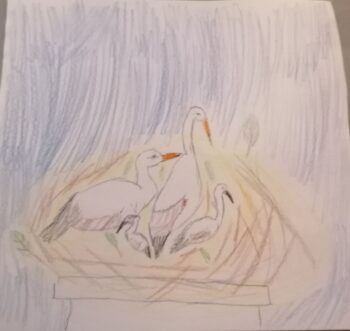 Dessin de Swann
