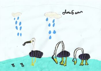 Dessin de olivia