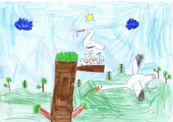 Dessin de Soline