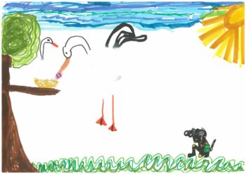 Dessin de Noria