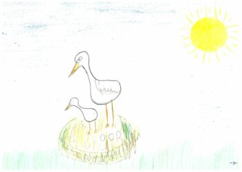 Dessin de Elisa
