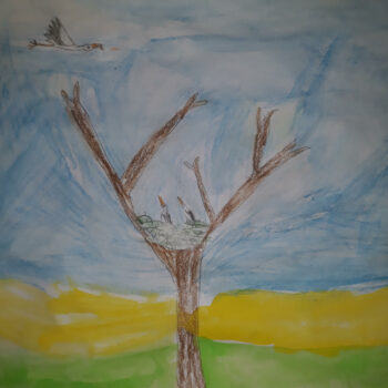 Dessin de Marius