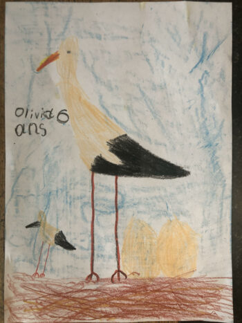 Dessin de Olivia 