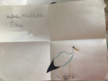 Dessin de Antonin